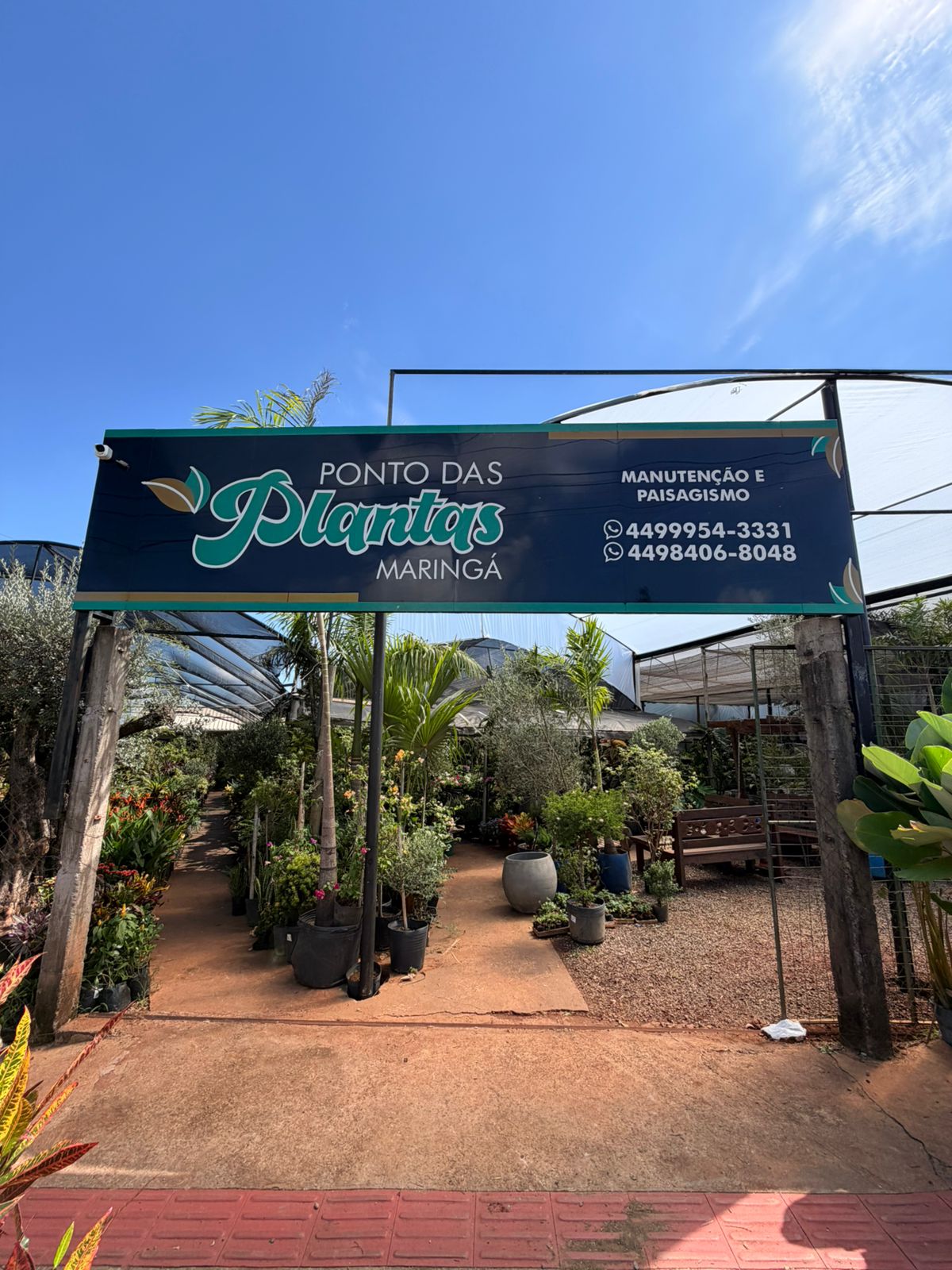 Viveiro Ponto das Plantas Maringá