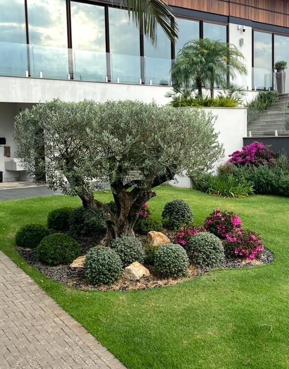 Oliveiras